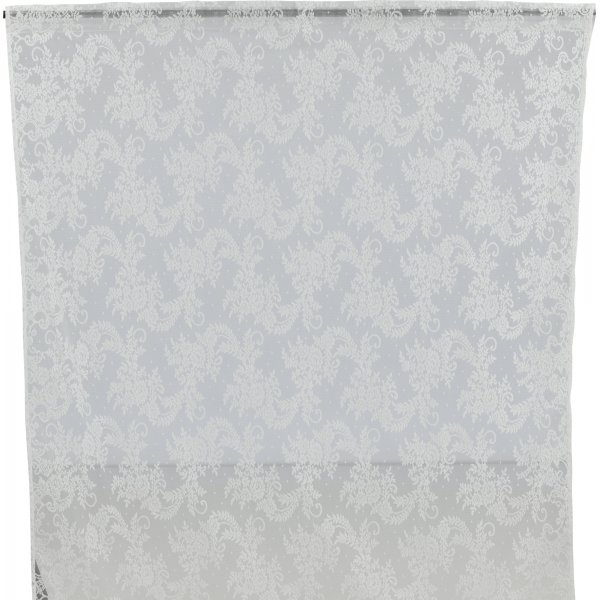 Bellis gardin - Hvit Bellis gardin - Hvit