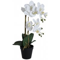 Kunstig plante - Orkidé 2 stengler H54 cm - Hvit Kunstig plante - Orkidé 2 stengler H54 cm - Hvit