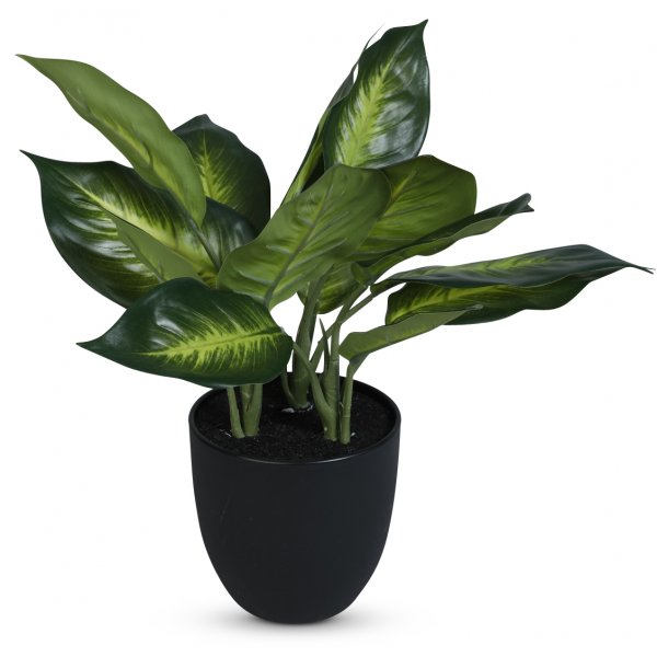 Kunstig plante  Prikkblad H35 cm
