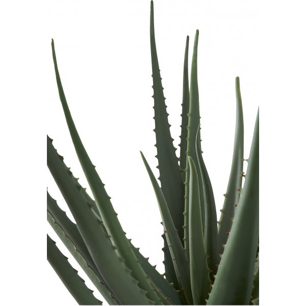 Aloe Vera kunstig plante - H:51 cm - Grnn