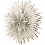 Seal Advent Star 80 cm - Beige