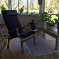 Kundebilde Lammet lenestol i saueskinn scandinavian dark grey - Brunbeiset eik