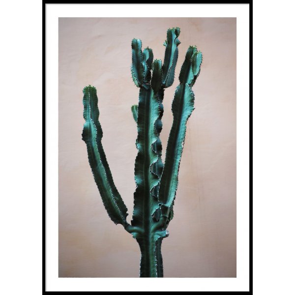 CACTUS ITALY - Plakat 50x70 cm