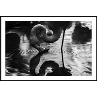 FLAMINGO REFLECTION - Plakat 50x70 cm FLAMINGO REFLECTION - Plakat 50x70 cm