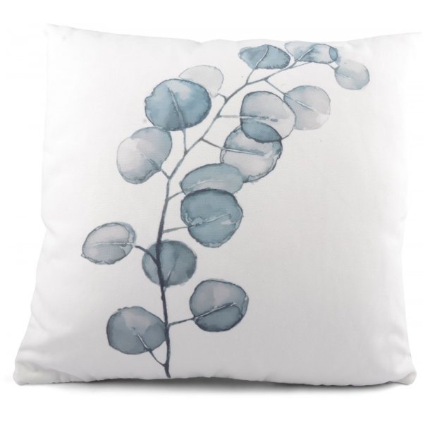 Pute Eucalyptus