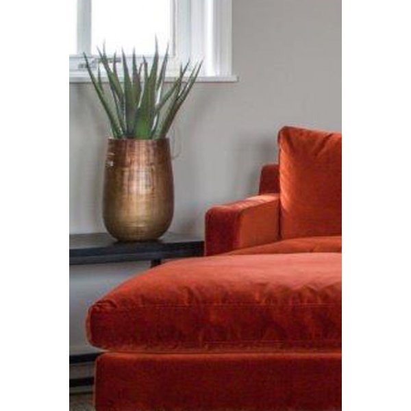 Sunday aloveraplante 50 cm - Svart Sunday aloveraplante 50 cm - Svart