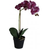 Kunstig plante - Orkidé 1 stengel H48 cm - Mørkerosa Kunstig plante - Orkidé 1 stengel H48 cm - Mørkerosa