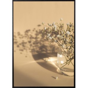 Plakat - Hvite blomster