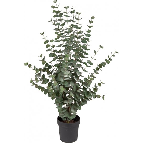 Eukalyptus kunstig plante