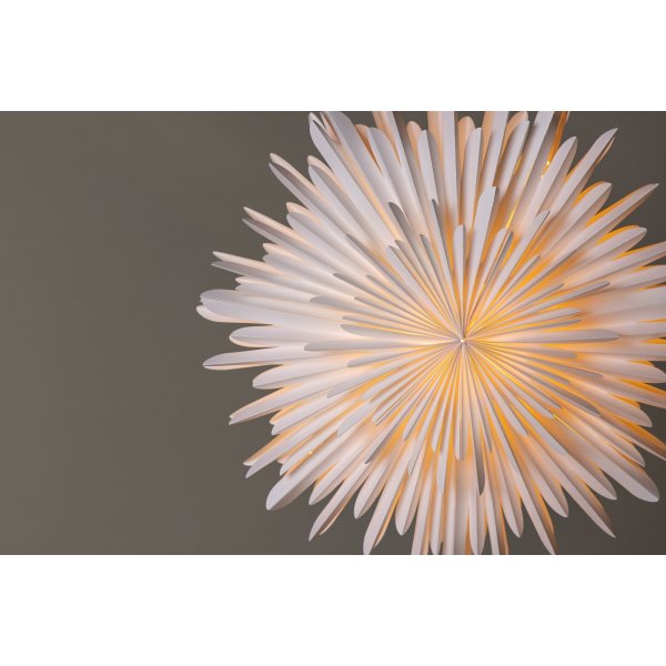 Seal Advent Star 60 cm - Hvit Seal Advent Star 60 cm - Hvit