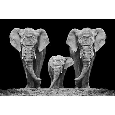 Glassbilde Elephant family - 120x80 cm