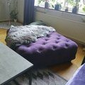 Kundebilde Chester Ottoman 110 cm - Valgfri farge!