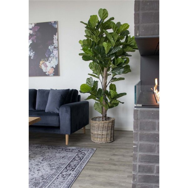 Fiddle kunstig plante - 190 cm Fiddle kunstig plante - 190 cm