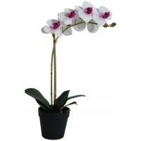 Kunstig plante - Orkidé 1 stengel H48 cm - Hvit/Rosa Kunstig plante - Orkidé 1 stengel H48 cm - Hvit/Rosa